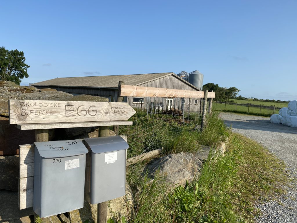Salte gårdsutsalg egg